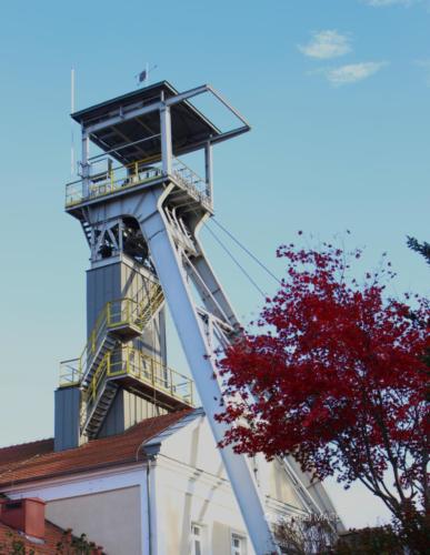 Du Collegium Maius vers Fabrique O Schindler - Cracovie - Novembre 2023
