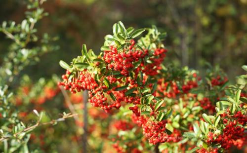 Canal Ourcq - Sevran (93) - Octobre 2025
