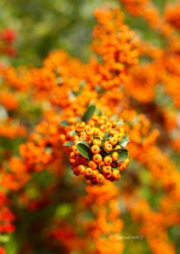 Canal Ourcq - Sevran (93) - Octobre 2025