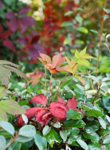 Canal Ourcq - Sevran (93) - Octobre 2025