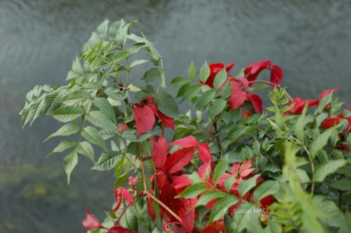 Canal Ourcq - Sevran (93) - Octobre 2025