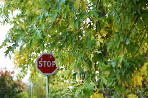 Canal Ourcq - Sevran (93) - Octobre 2025
