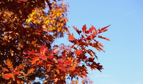 Canal Ourcq - Sevran (93) - Octobre 2025
