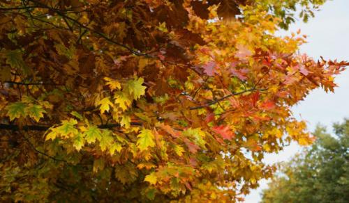 Canal Ourcq - Sevran (93) - Octobre 2025