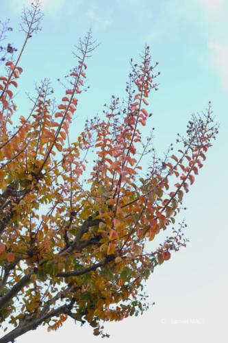 Canal Ourcq - Sevran (93) - Octobre 2025