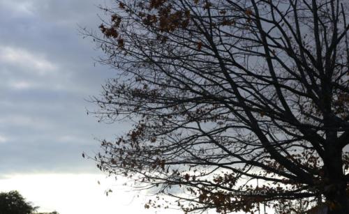 Canal Ourcq - Sevran (93) - Octobre 2025