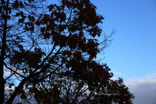 Canal Ourcq - Sevran (93) - Octobre 2025