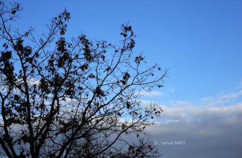 Canal Ourcq - Sevran (93) - Octobre 2025
