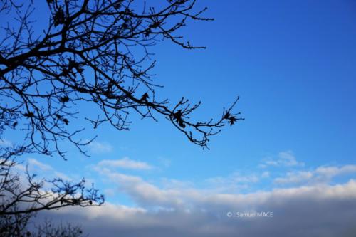Canal Ourcq - Sevran (93) - Octobre 2025