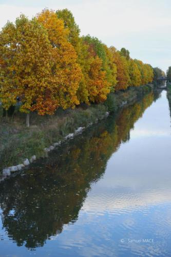 Canal Ourcq - Sevran (93) - Octobre 2025