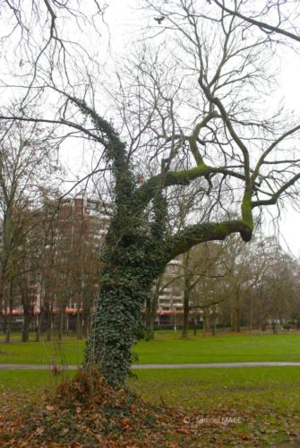 Centre ville - Sevran (93) - Decembre 2025