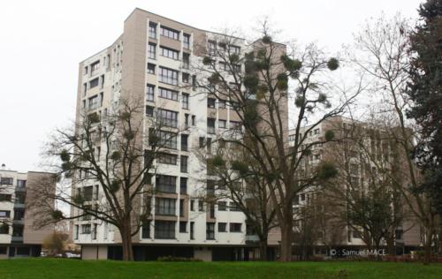 Centre ville - Sevran (93) - Decembre 2025