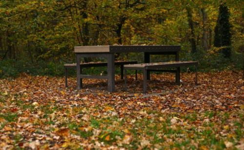 Parc de la Poudrerie - Livry Gargan (93) - Novembre 2025