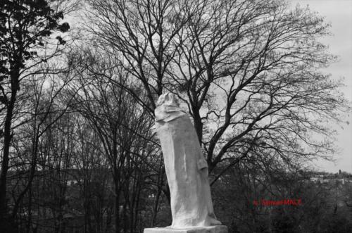 Musée Rodin - Meudon (92) - Avril 2023