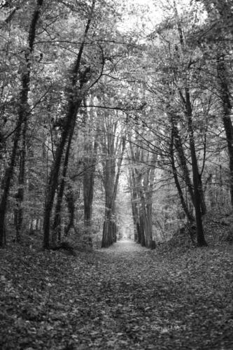 Parc de la Poudrerie - Livry Gargan (93) - Novembre 2025