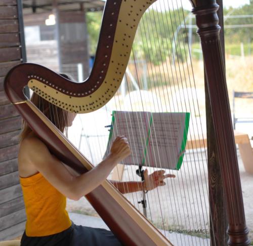 Concert Harpi’stick Trio - Romainville (93) - Juillet 2026