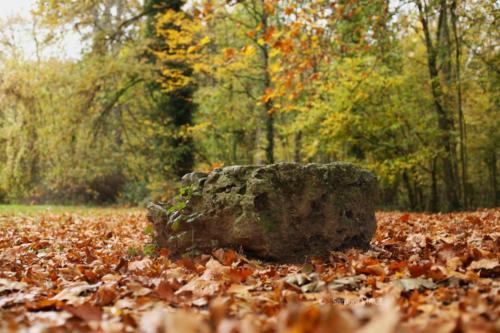 Parc de la Poudrerie - Livry Gargan (93) - Novembre 2025