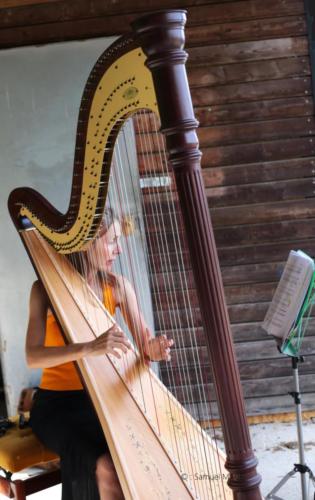 Concert Harpi’stick Trio - Romainville (93) - Juillet 2026