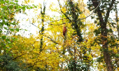 Parc de la Poudrerie - Livry Gargan (93) - Novembre 2025