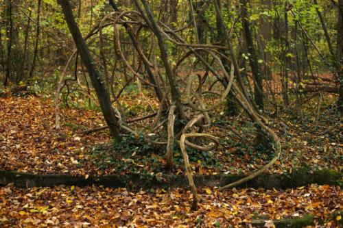 Parc de la Poudrerie - Livry Gargan (93) - Novembre 2025