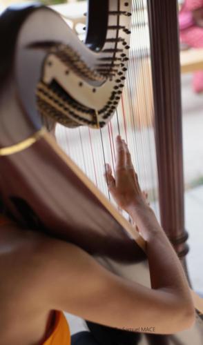 Concert Harpi’stick Trio - Romainville (93) - Juillet 2026