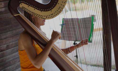 Concert Harpi’stick Trio - Romainville (93) - Juillet 2026