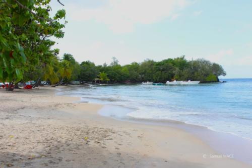 Trois Rivières vers Ste Luce - Martinique - Mai 2023