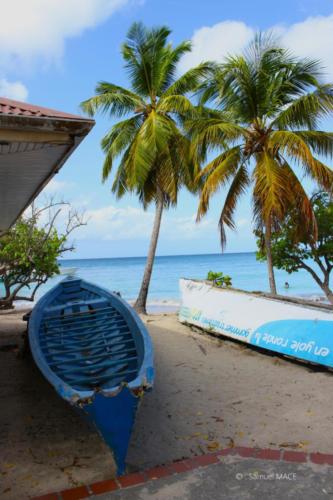 Trois Rivières vers Ste Luce - Martinique - Mai 2023