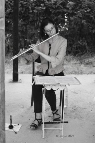 Concert Harpi’stick Trio - Romainville (93) - Juillet 2026