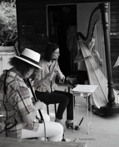 Concert Harpi’stick Trio - Romainville (93) - Juillet 2026
