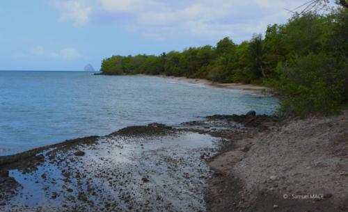 Trois Rivières vers Ste Luce - Martinique - Mai 2023