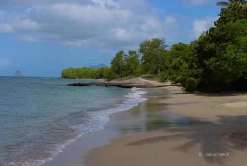 Trois Rivières vers Ste Luce - Martinique - Mai 2023