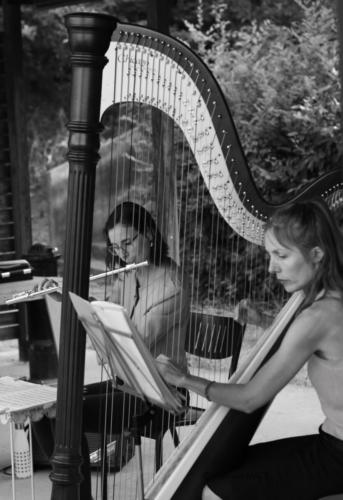 Concert Harpi’stick Trio - Romainville (93) - Juillet 2026