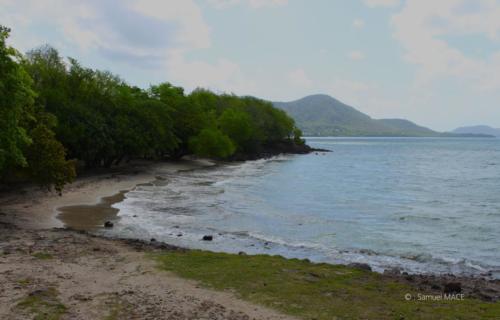 Trois Rivières vers Ste Luce - Martinique - Mai 2023