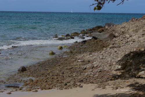 Trois Rivières vers Ste Luce - Martinique - Mai 2023