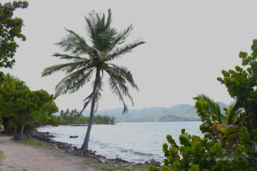 Trois Rivières vers Ste Luce - Martinique - Mai 2023