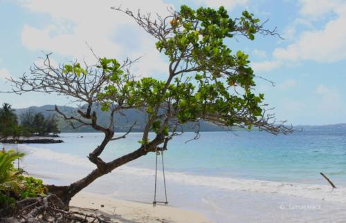 Trois Rivières vers Ste Luce - Martinique - Mai 2023