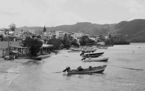 Trois Rivières vers Ste Luce - Martinique - Mai 2023