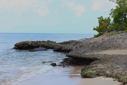 Trois Rivières vers Ste Luce - Martinique - Mai 2023