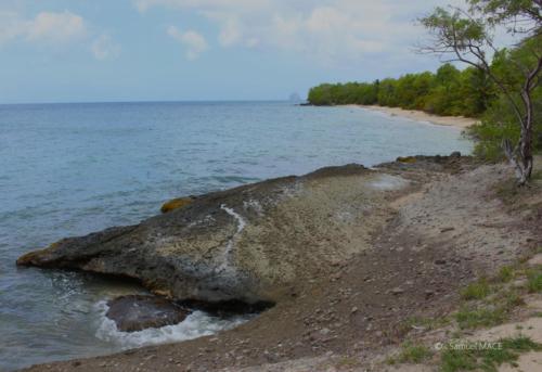 Trois Rivières vers Ste Luce - Martinique - Mai 2023