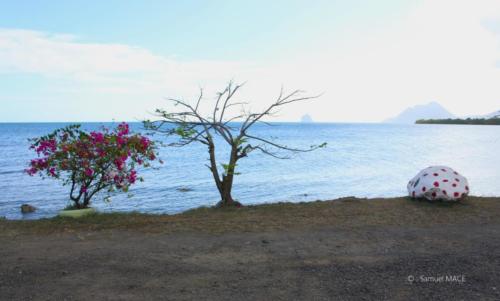 Trois Rivières vers Ste Luce - Martinique - Mai 2023