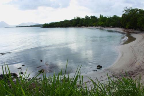 Trois Rivières vers Ste Luce - Martinique - Mai 2023