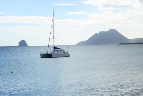 Trois Rivières vers Ste Luce - Martinique - Mai 2023