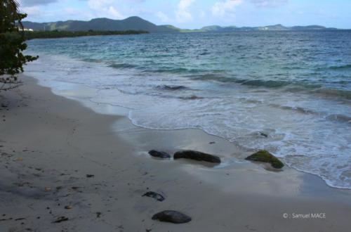 Trois Rivières vers Ste Luce - Martinique - Mai 2023