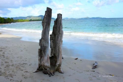 Trois Rivières vers Ste Luce - Martinique - Mai 2023