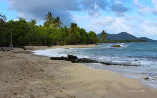 Trois Rivières vers Ste Luce - Martinique - Mai 2023