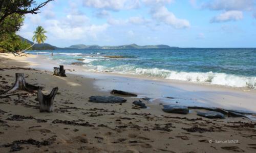 Trois Rivières vers Ste Luce - Martinique - Mai 2023