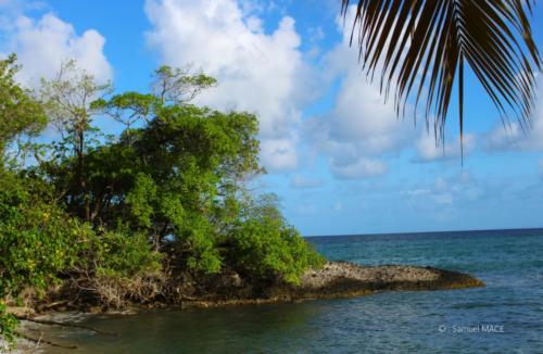 Trois Rivières vers Ste Luce - Martinique - Mai 2023