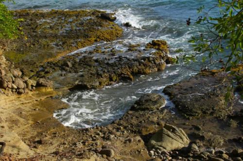 Trois Rivières vers Ste Luce - Martinique - Mai 2023