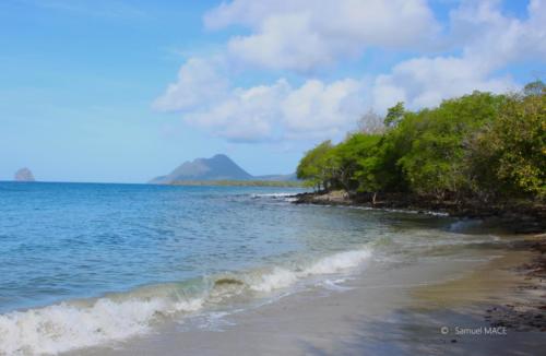 Trois Rivières vers La Taupinière - Martinique - Mai 2023